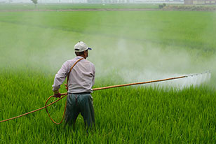 Herbicide